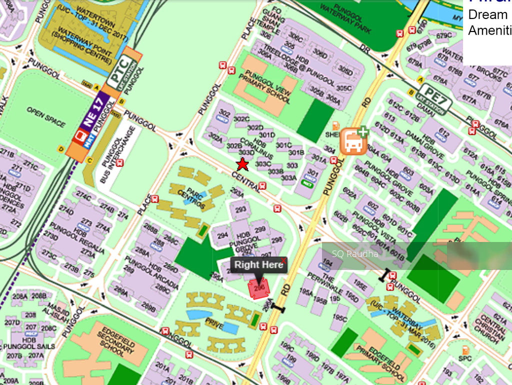 Blk 296 Punggol Central (Punggol), HDB 5 Rooms #111212292